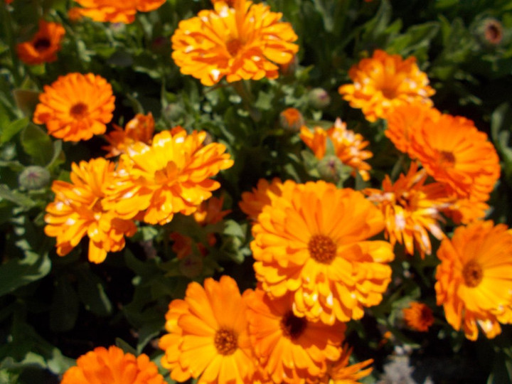 Dscn0097