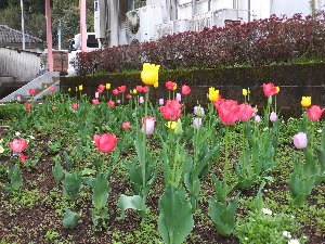 Dscf7579