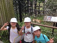 Dscf7785