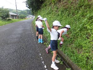 Dscf7862