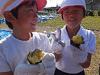 Dscf8383_3