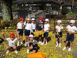 Dsc00050