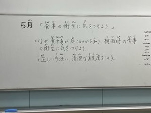 9_img_7302