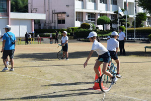 Dsc_0480 Dsc_0480